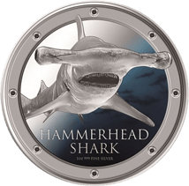 1 Unze Silber Hammerhai PP 2013 (coloriert | in Dose)