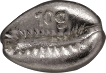 10g Silber Cowrie Muschelbarren