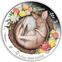 1/2 Unze Silber Dreaming Down Under 2021 PP Känguru (Auflage: 5.000 | Polierte Platte)