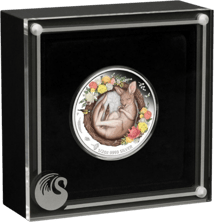 1/2 Unze Silber Dreaming Down Under 2021 PP Känguru (Auflage: 5.000 | Polierte Platte)