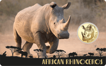 Gold Big Five Nashorn Münze