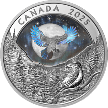 1 Unze Silber Moon Sky Raven 2025 (Auflage: 7.500 | Hologramm | Polierte Platte)