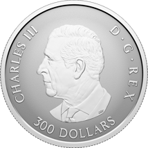 1 Unze Platin Maple Leaf Aquamarin 2025 (Auflage: 450 | Reverse Proof)