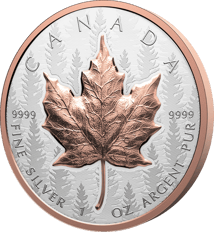 1 Unze Silber Maple Leaf 2025 (Auflage: 8.500 | High Relief | teilvergoldet | Reverse Proof)