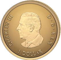 0,5g Gold Reverse Proof Maple Leaf 2026 (Auflage: 20.000 | Kanada 30. Jubiläum)