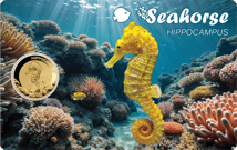 Gold Seepferdchen Münze