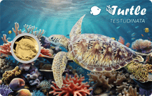 Gold Schildkröte Münze