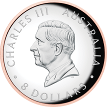 5 Unze Silber Koala 2025 (Auflage: 750 | Rosegold | Polierte Platte)