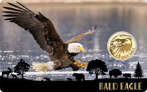 Gold Weißkopfseeadler Münze (Auflage: 50.000)