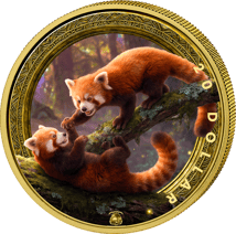 1 Unze Silber Roter Panda 2025 (Auflage: 100 | teilvergoldet)