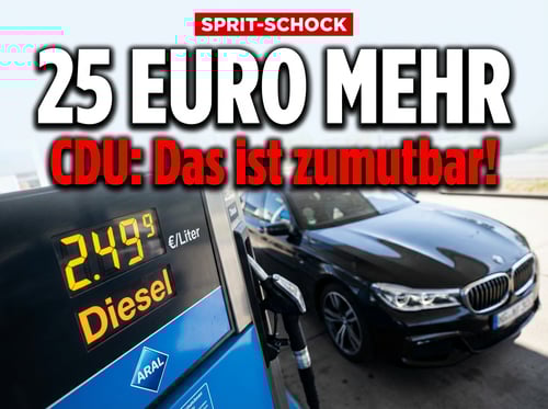 CDU-Abgeordneter erklärt Bürgern, dass 25 Euro mehr pro Tankfüllung „zumutbar" seien – vom Steuerzahler alimentiert