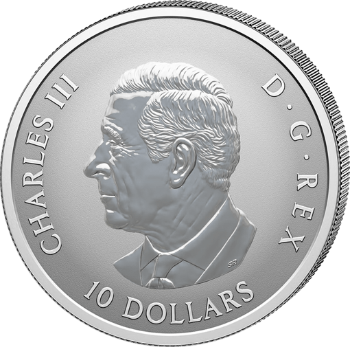 1/2 Unze Silber Gleaming Maple Leaves 2026 (Auflage: 25.000 | Reverse Proof)