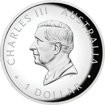 1 Unze Silber Känguru Nugget 2025 (Auflage: 5.000 | High Relief | Polierte Platte)