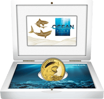 2 Unze Gold Ocean Five Weißer Hai 2022 PP (Auflage: 50 | Polierte Platte)