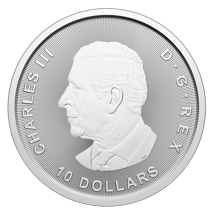 2 Unzen Silbermünze Kanada Bulle und Bär 2025