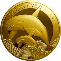 5 Unze Gold Ocean Five Orca 2024 PP (Auflage: 33 | Polierte Platte | Zertifikat Nr. 1)