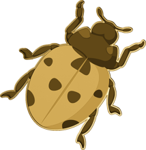 Gold Marienkäfer Shaped Coin