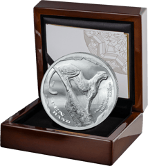 2 Unze Silber African Range Gepard 2026 (Auflage: 2.000 | High Relief | Polierte Platte)