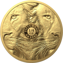 1/4 Unze Gold Big Five II Löwe 2022 PP (Auflage: 2.000 | Polierte Platte)