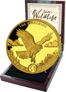 3 Unze Gold World's Wildlife Wanderfalke 2024 (Auflage: 50 | Polierte Platte)