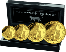 Gold African Wildlife Somalia Leoparden Set 2024 PP (Auflage: 300 | Polierte Platte)